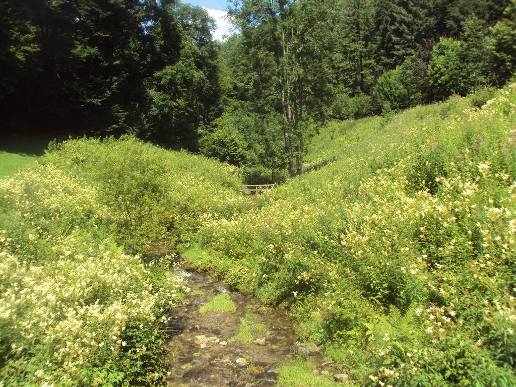 Le Vieux Moulin Bohan Buitenkant foto