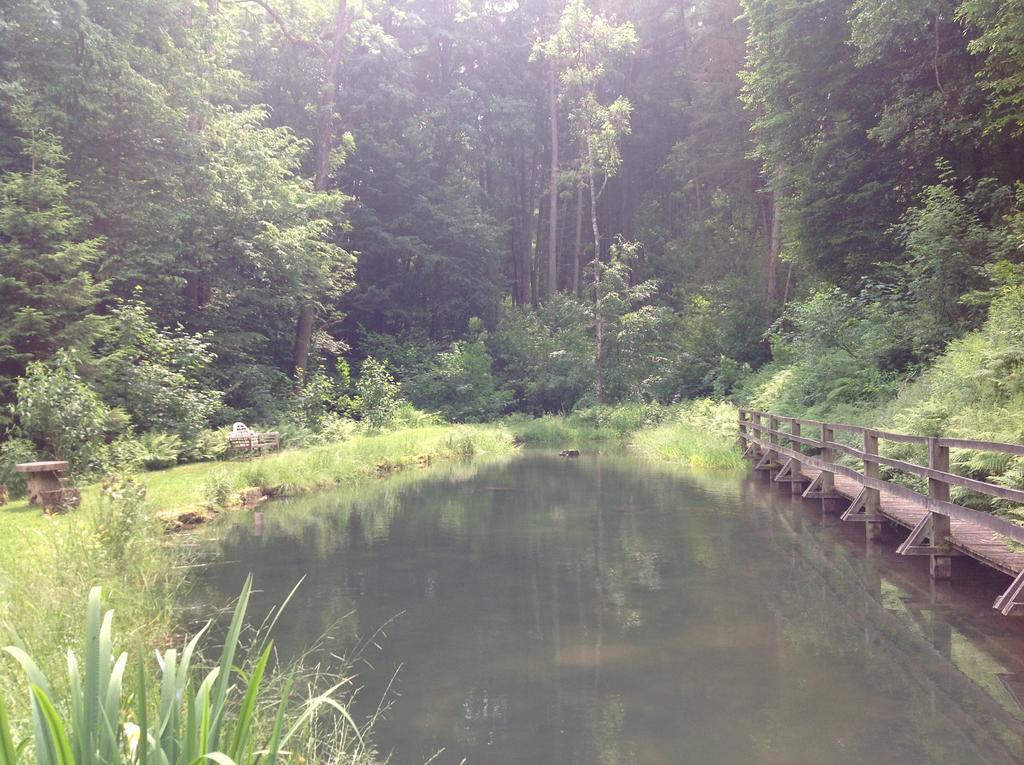 Le Vieux Moulin Bohan Buitenkant foto